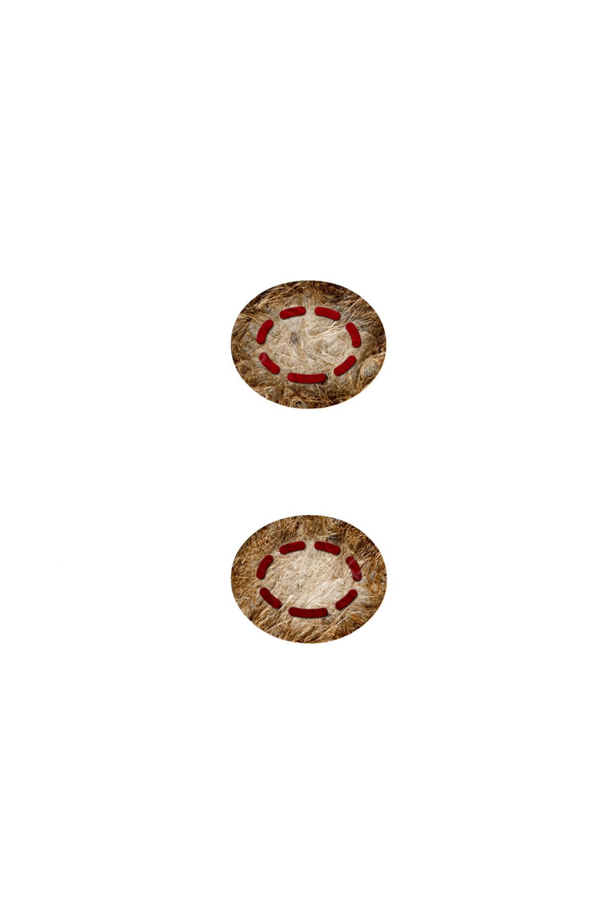 Alfabeto de papel png vector psd e clipart para dcarga gratuita