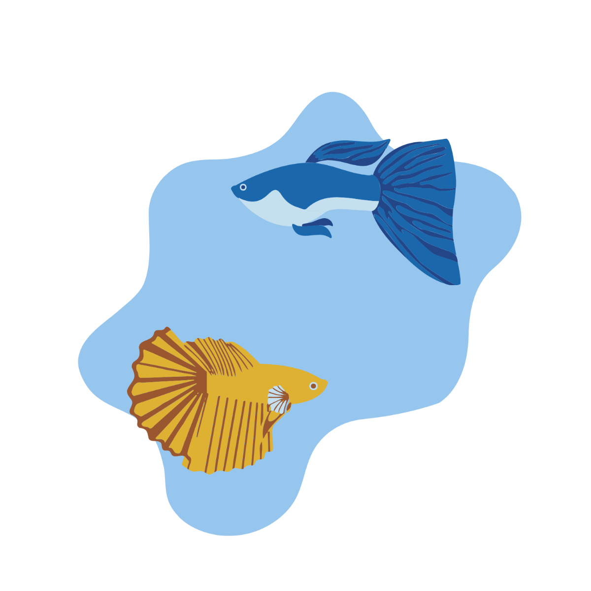 Free fish