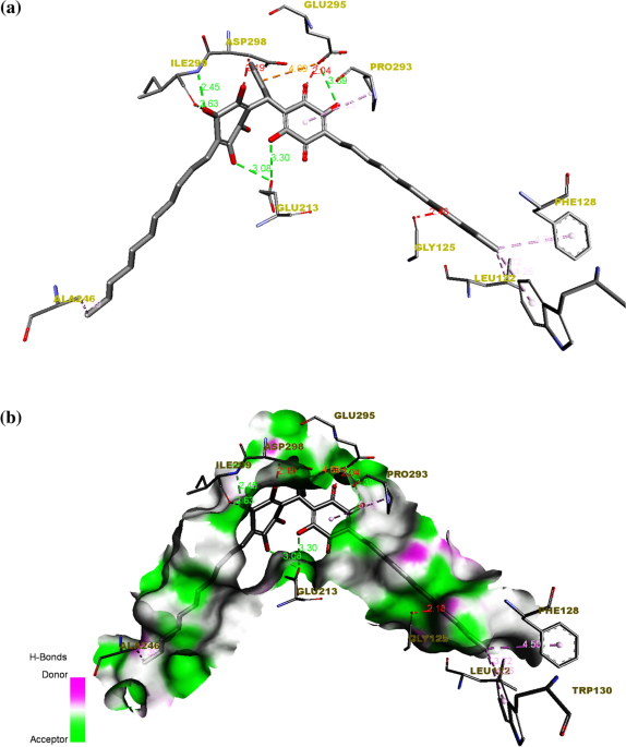 Molecular docking studies in vitro