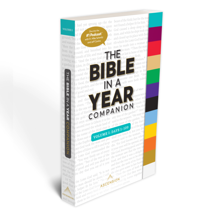 The bible in a year panion volume i