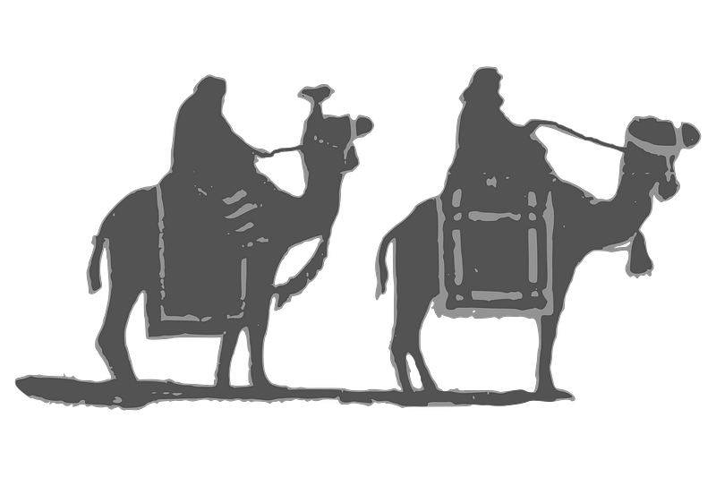 Camel line art images free photos png stickers wallpapers backgrounds