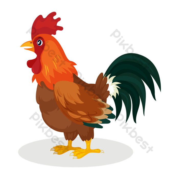 Rooster png images free rooster transparent pngvector and psd download