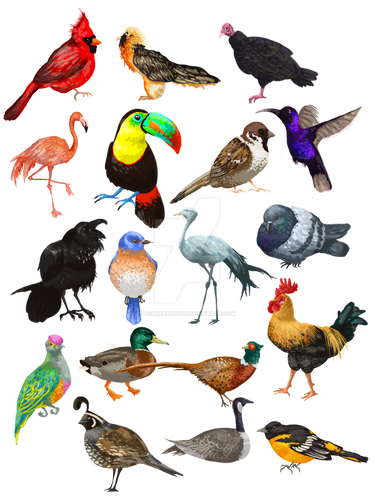 Explore the best bluecrane art
