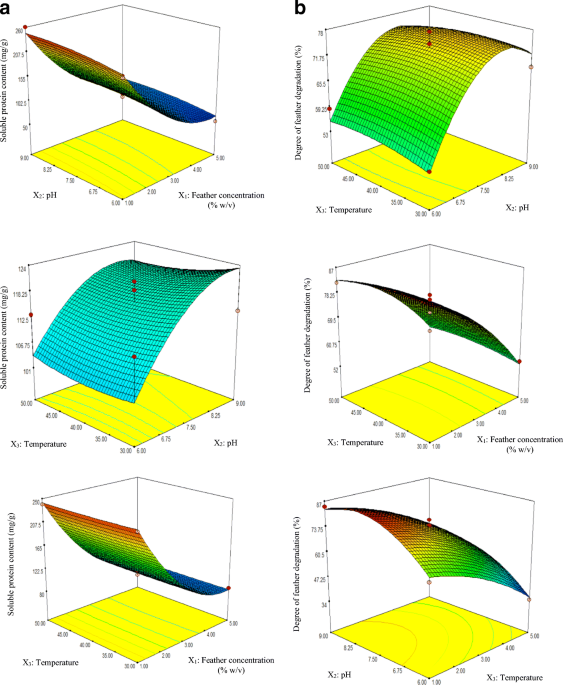 Bioutilization of chicken feather waste by newly isolated keratinolytic bacteria and conversion into protein hydrolysates with improved functionalities