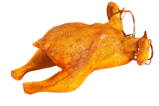Broiler hen png transparent images free download vector files