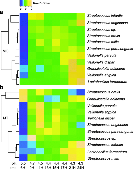 Uncovering plex microbiome activities via metatranscriptomics during hours of oral biofilm assembly and maturation microbiome full text