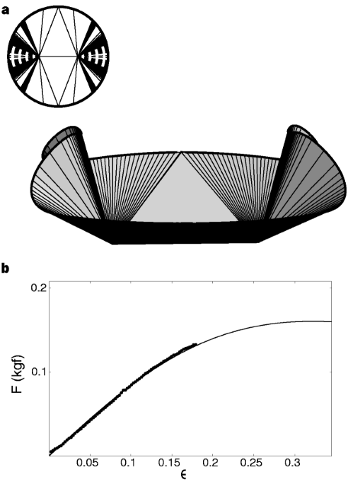 Conical dislocations in crumpling