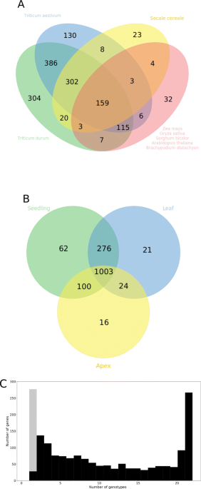Transcriptomic and presenceabsence variation in the barley genome assessed from multi