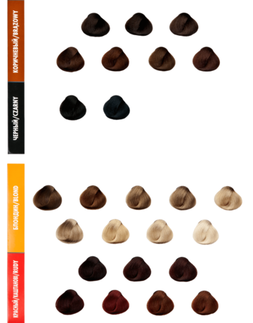 Golden swatches png transparent images free download vector files