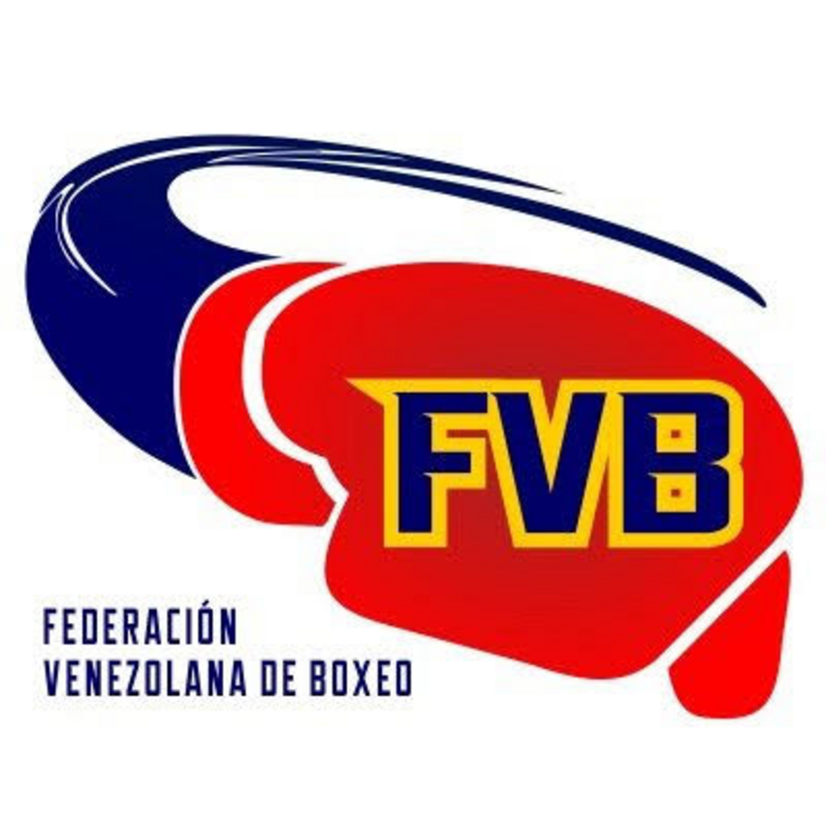 Boxeadores clasificaron a las finales del campeonato nacional de boxeo ãlite