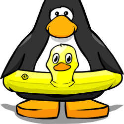 Categoryclothing club penguin wiki