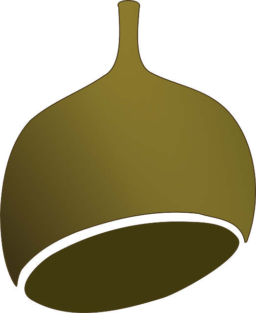 Free nut vector art