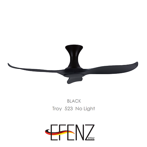 Efenz