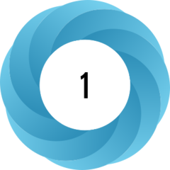 A noncanonical irak