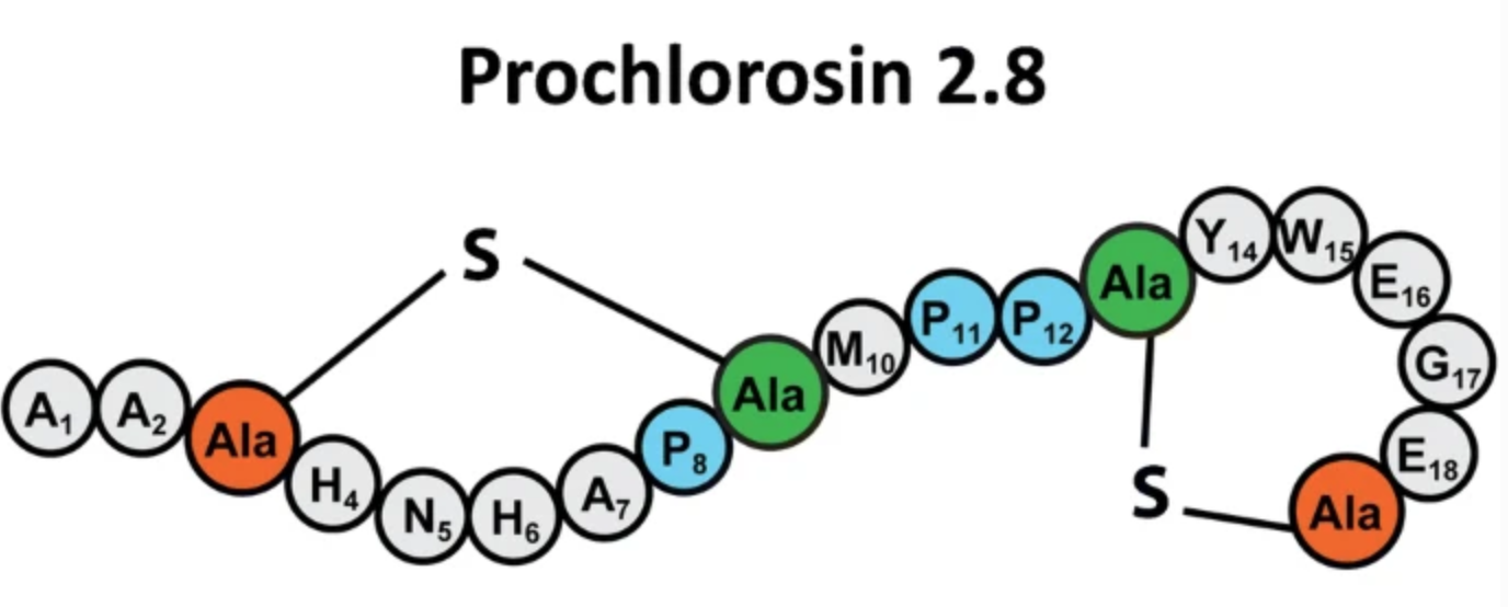 Publications â the van der donk lab