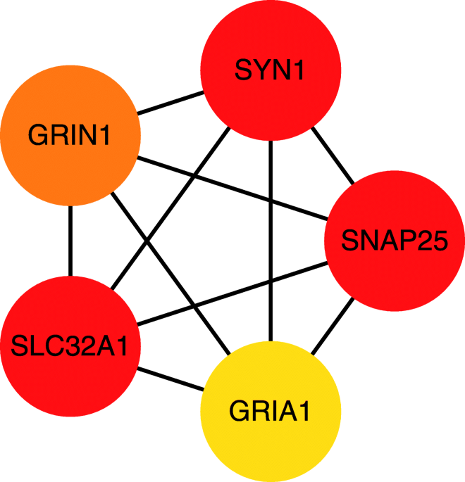 Effects of febrile seizures in mesial temporal lobe epilepsy with hippocampal sclerosis on gene expression using bioinformatical analysis acta epileptologica full text