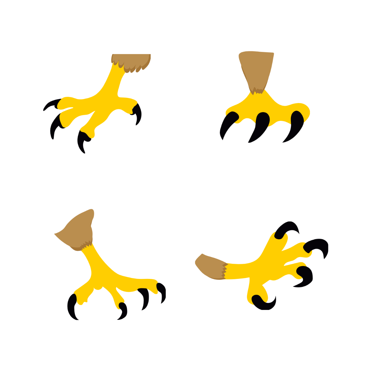 Free claw