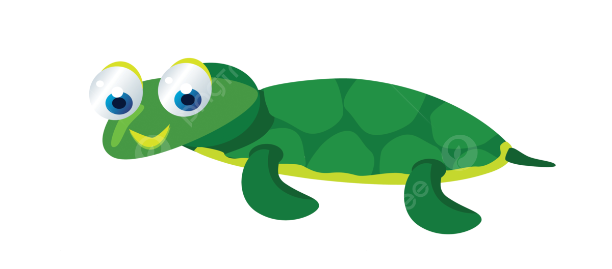 Baby turtle png vector psd and clipart with transparent background for free download