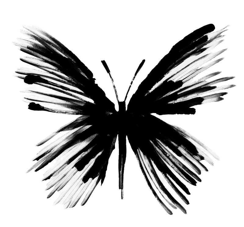 Chinese butterfly images free photos png stickers wallpapers backgrounds