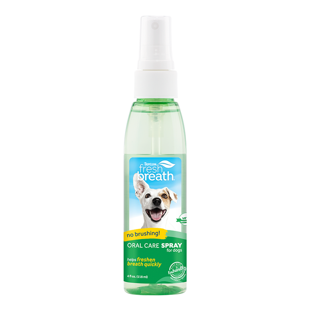 Dog pet