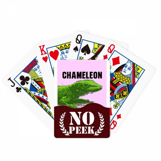 Chameleon game rules