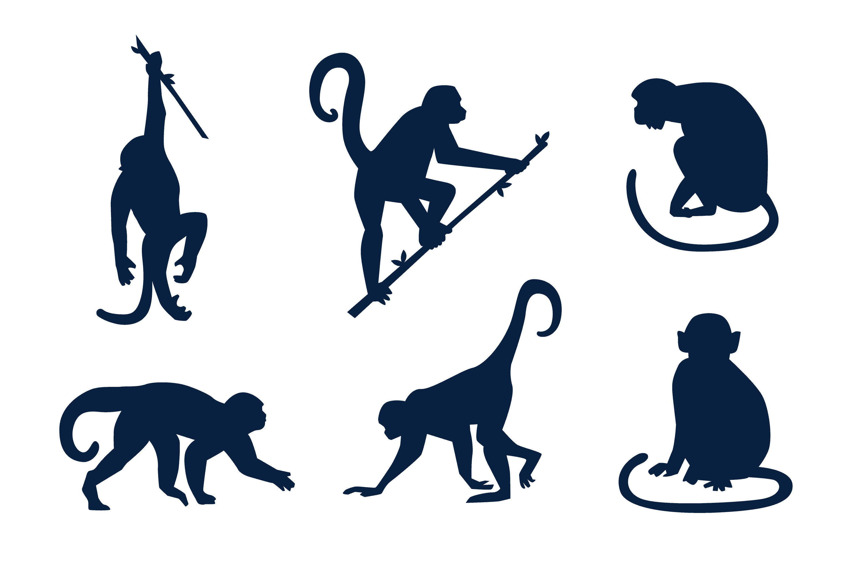 International monkey day december th â school for the blind