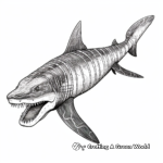 Basking shark coloring pages
