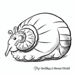 Nautilus coloring pages