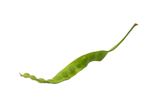 Stinking png transparent images free download vector files