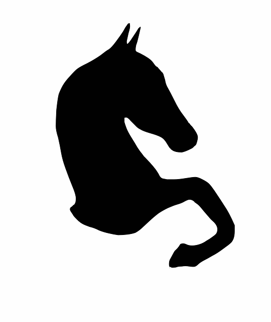 Explore free equestrian illustrations download now