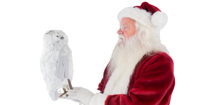 Father christmas png transparent images free download vector files