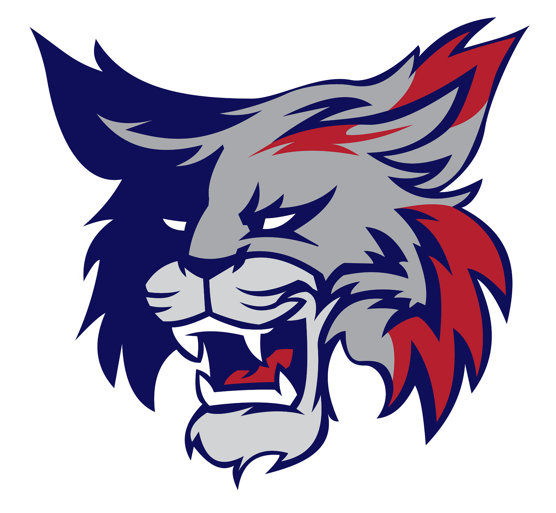 Indianapolis homeschool wildcats home