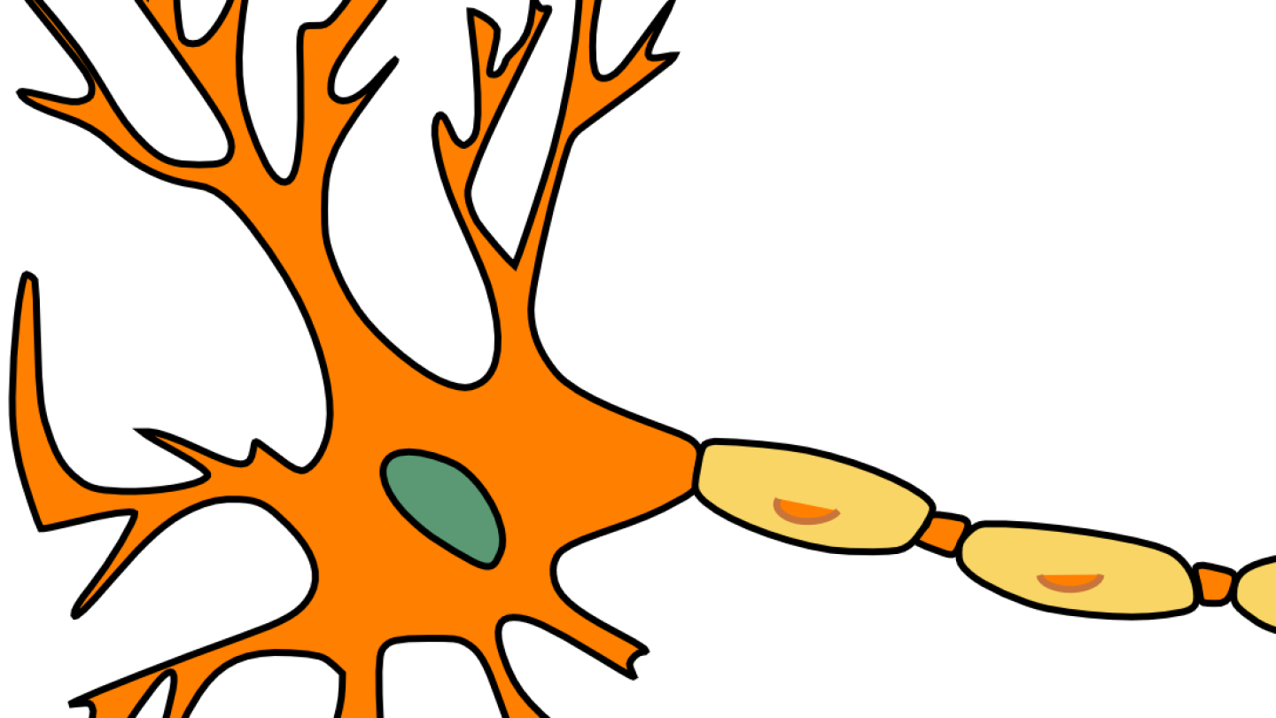 Ems primer receptors and the autonomic nervous system