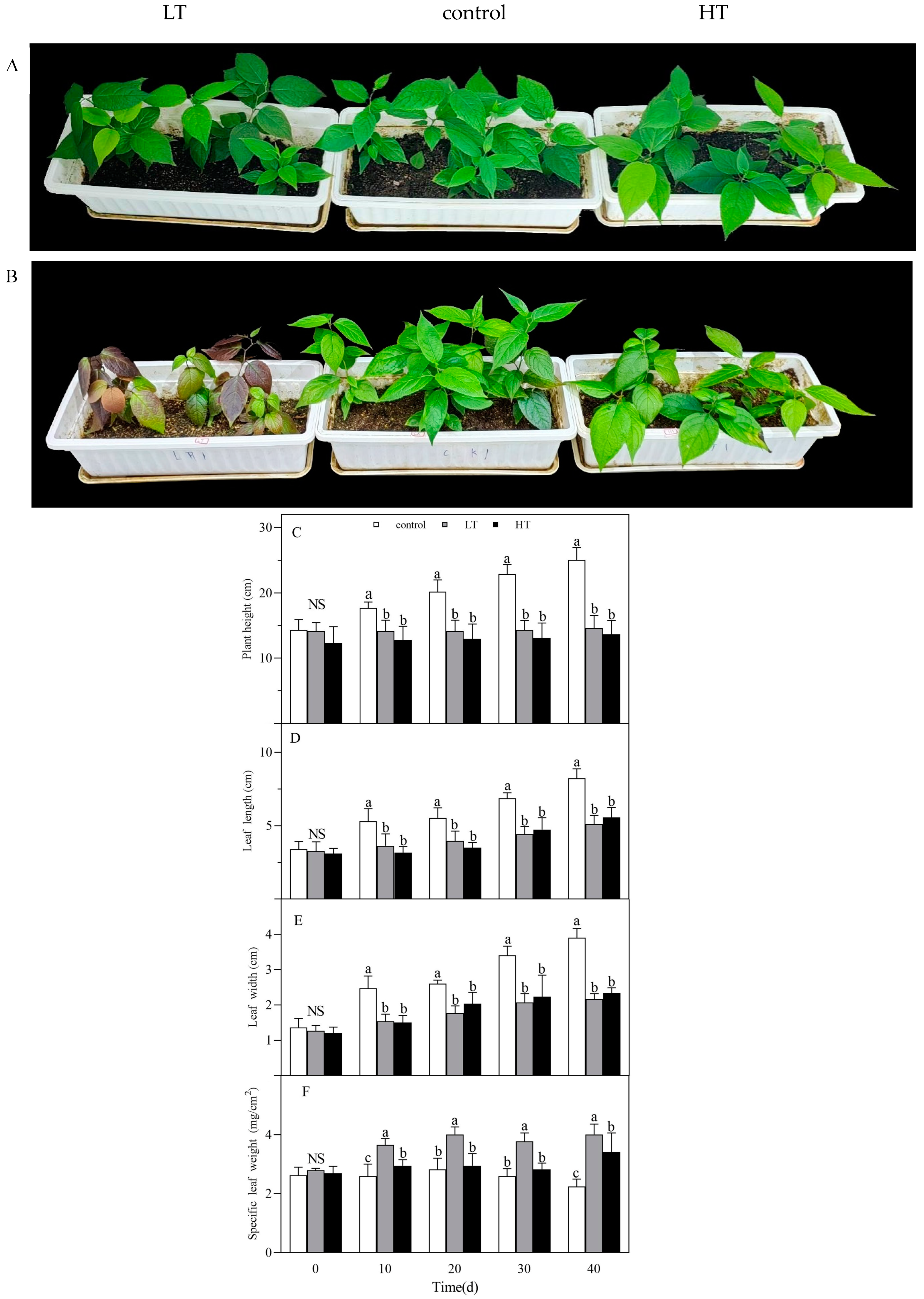 Horticulturae free full