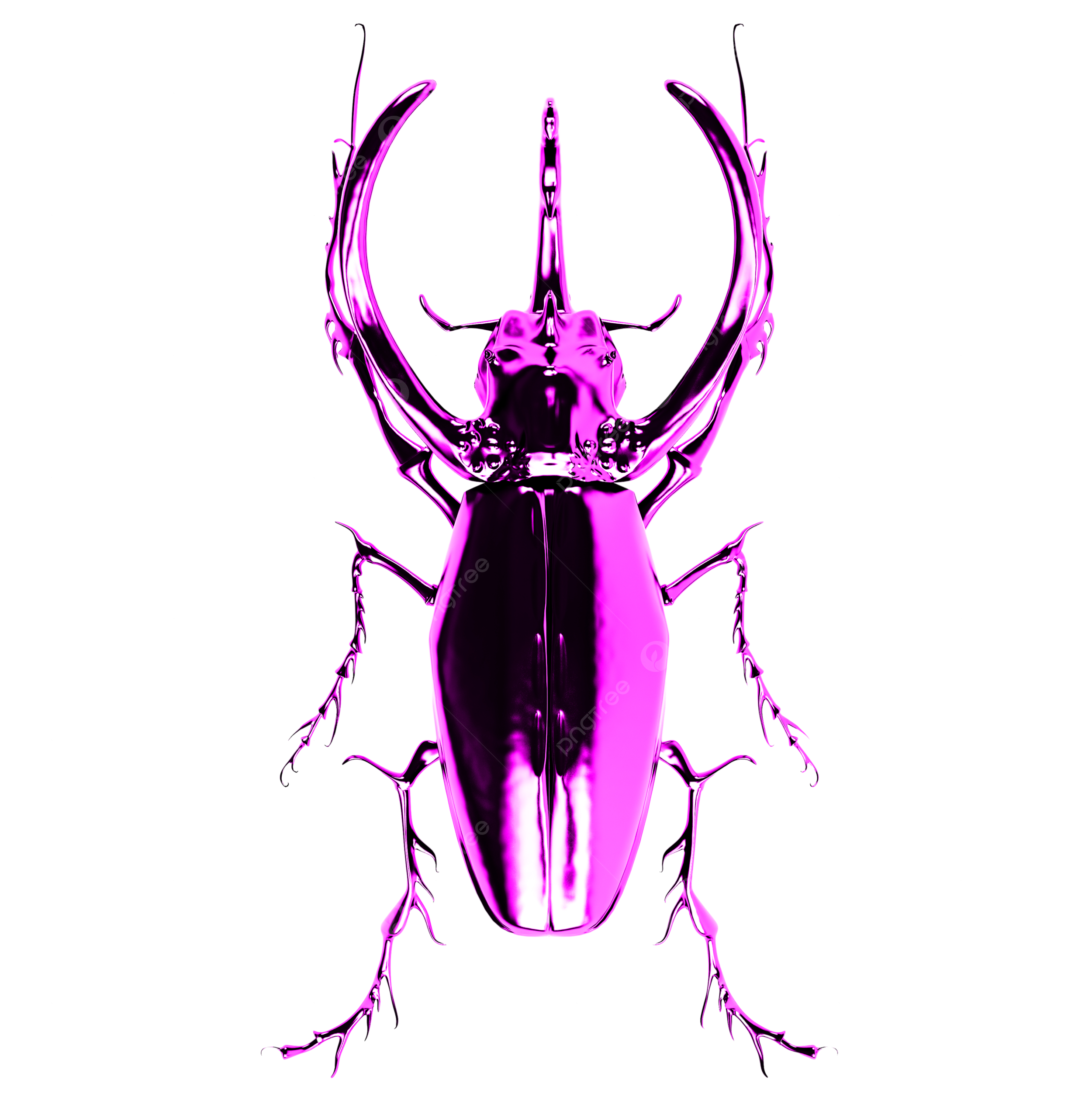 Rhinoceros beetle profile pink closeup top png transparent image and clipart for free download