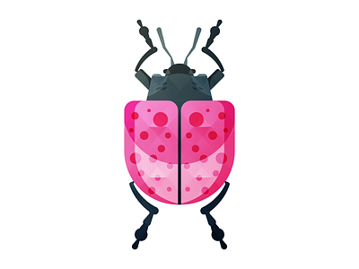 Habitat designs themes templates and downloadable graphic elements on