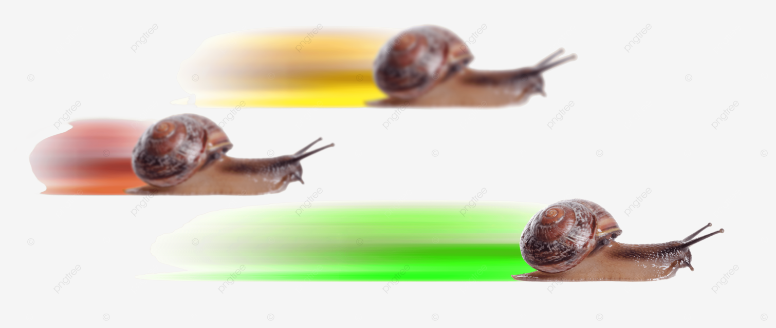 Concept fast snail with colored silhouette action chase fast metaphor png transparent image and clipart for free download