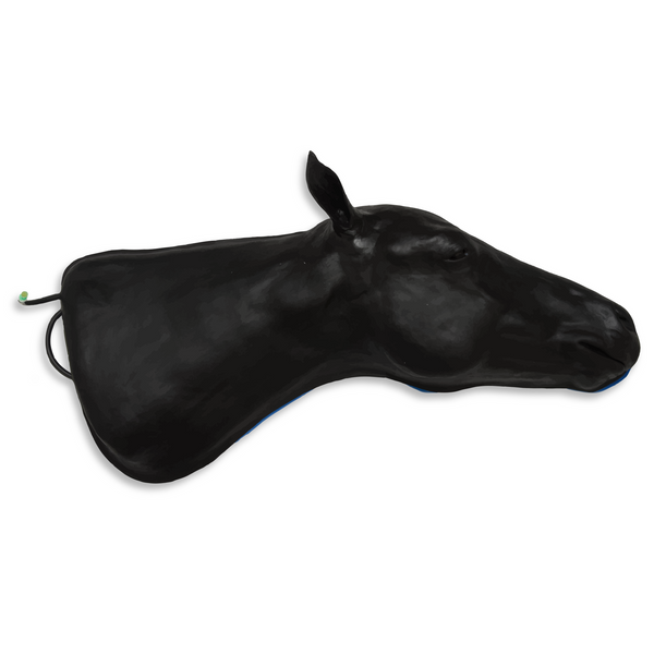 Equine simulator