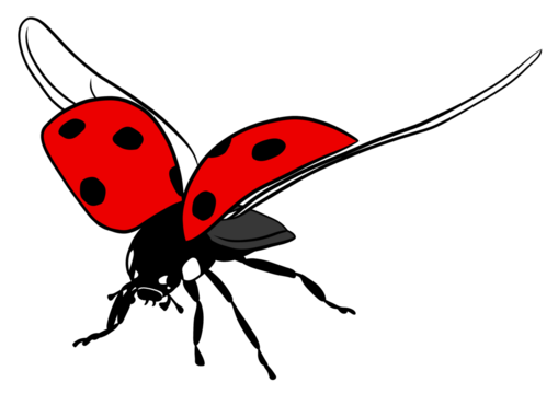 Flying ladybug images â browse photos vectors and video