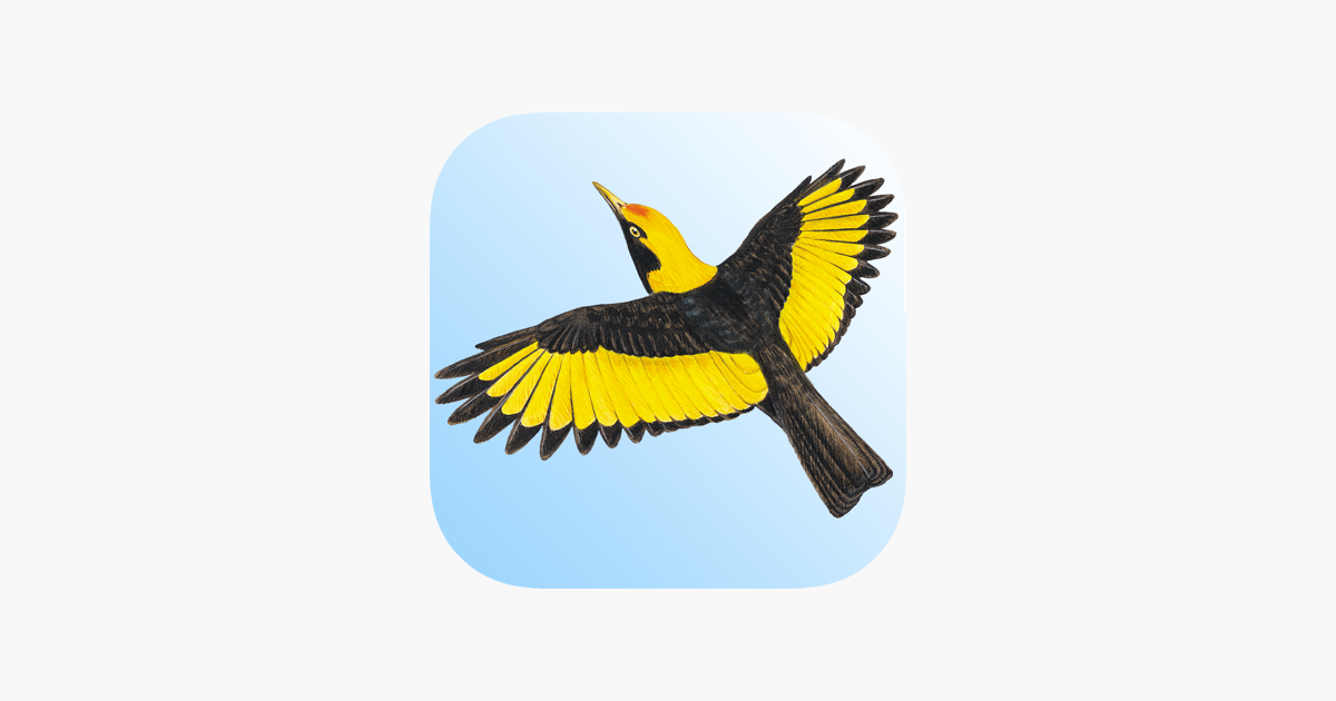 Morbe stewart guide on the app store