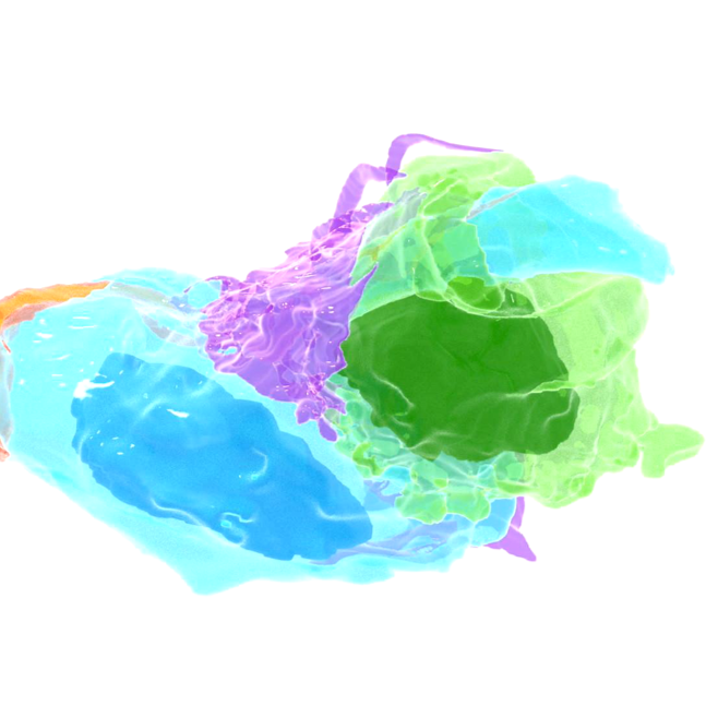 D morphology of tactile sensory organs with volume electron microscopy