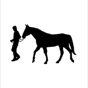 Thoroughbred drawing