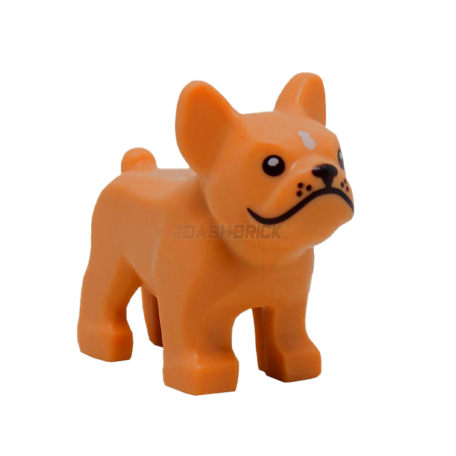 Animals â