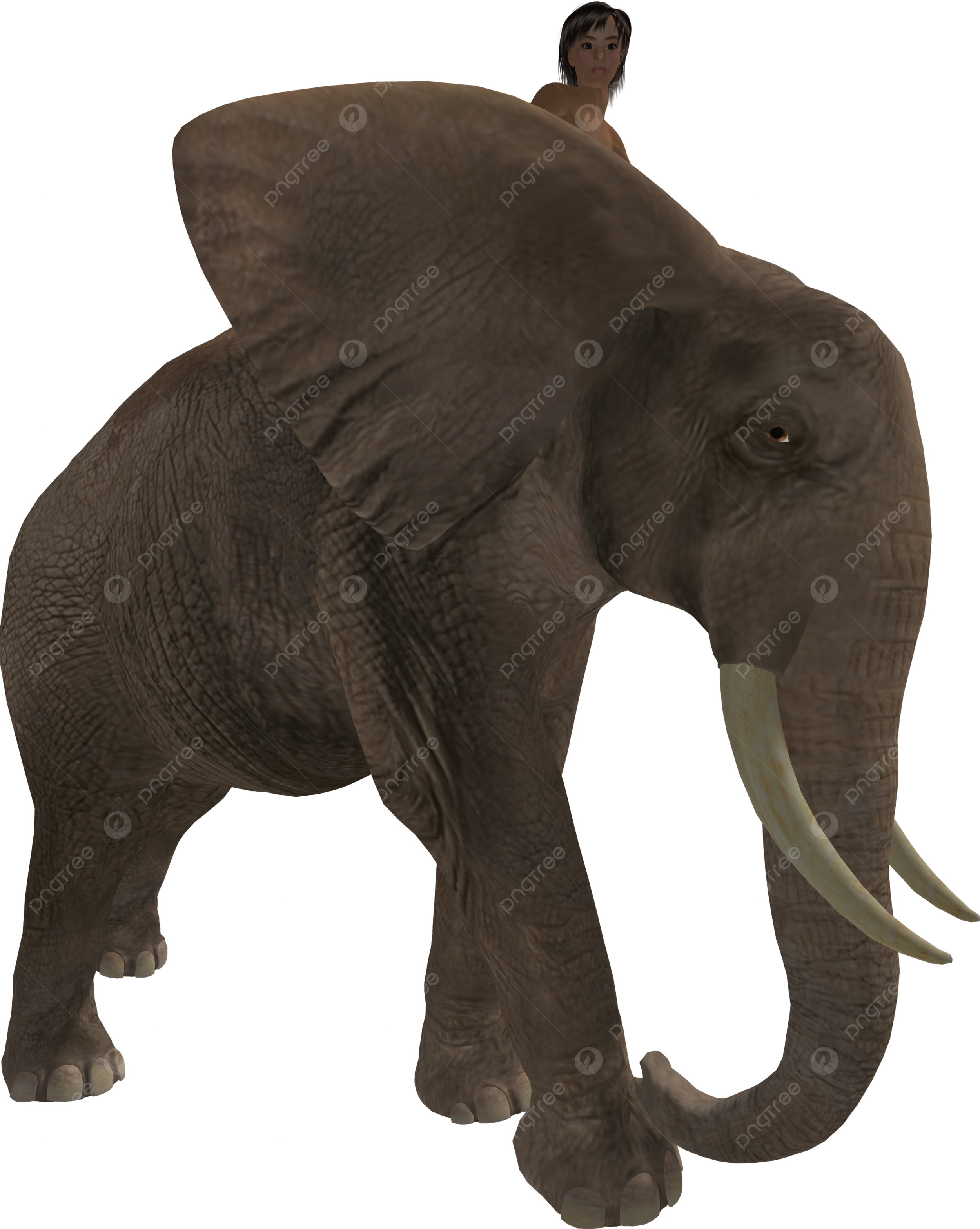 Çæããããªãèããããç æpngãããªã çå