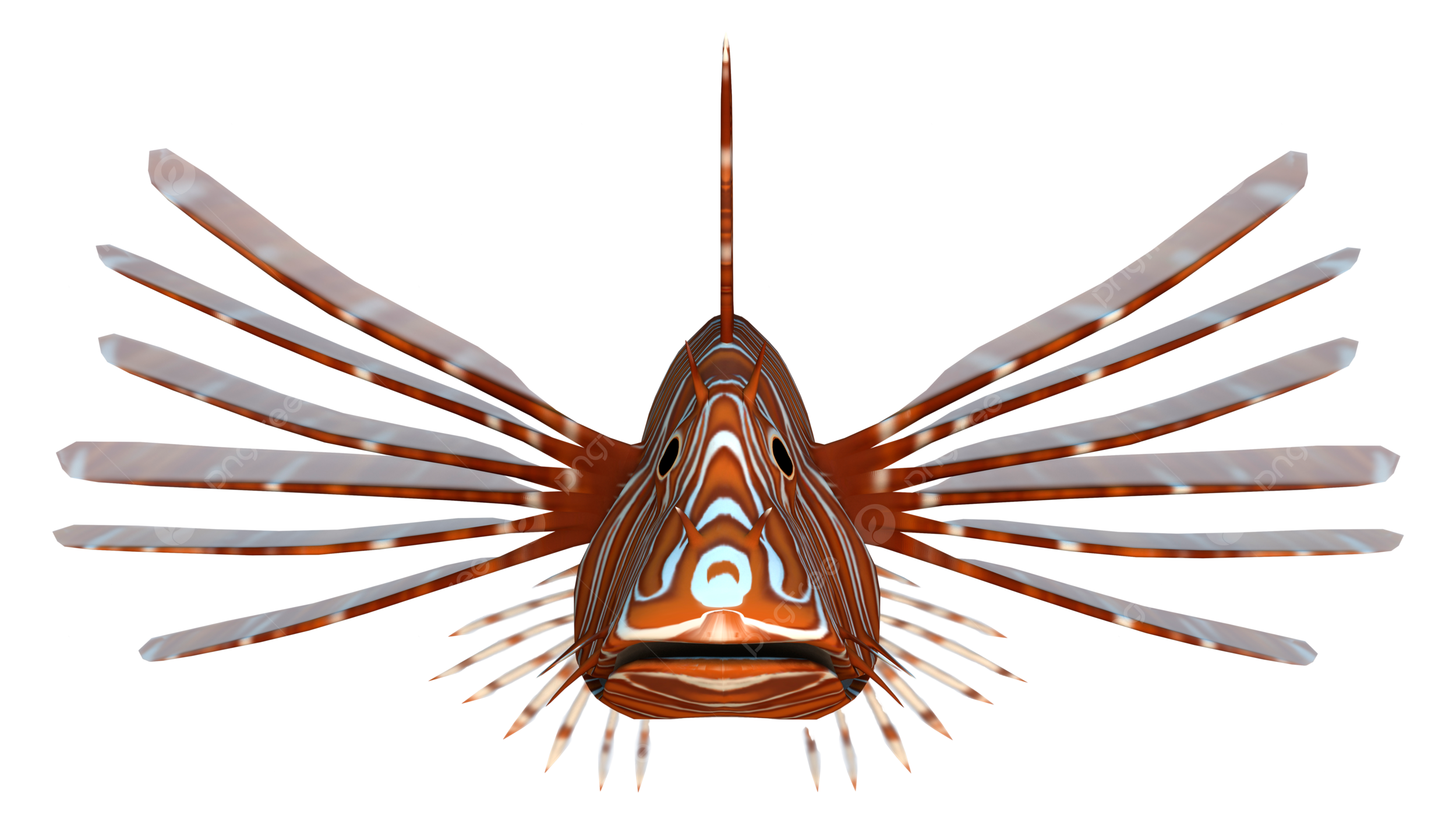 Lionfish png transparent images free download vector files