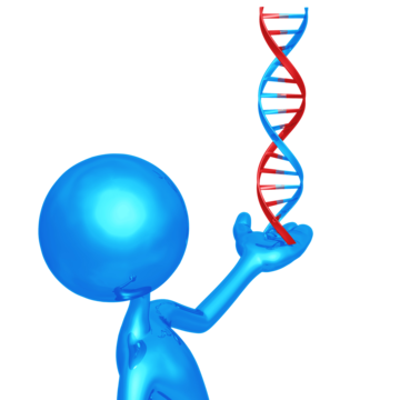 Cartoon double helix png transparent images free download vector files