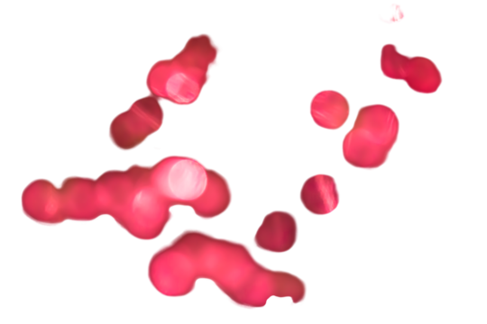 Gold blur png transparent images free download vector files