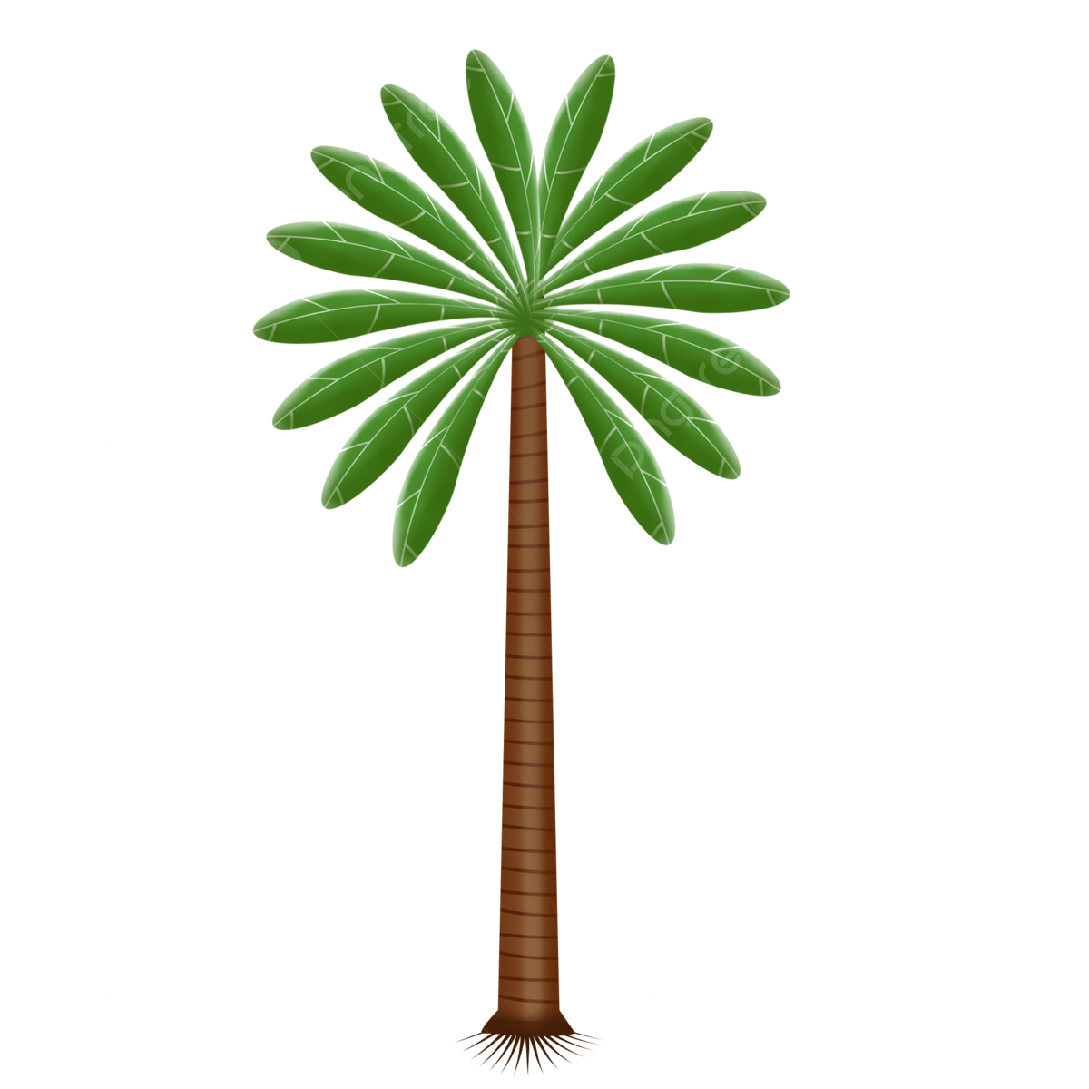 Palm leaves icon png images vectors free download