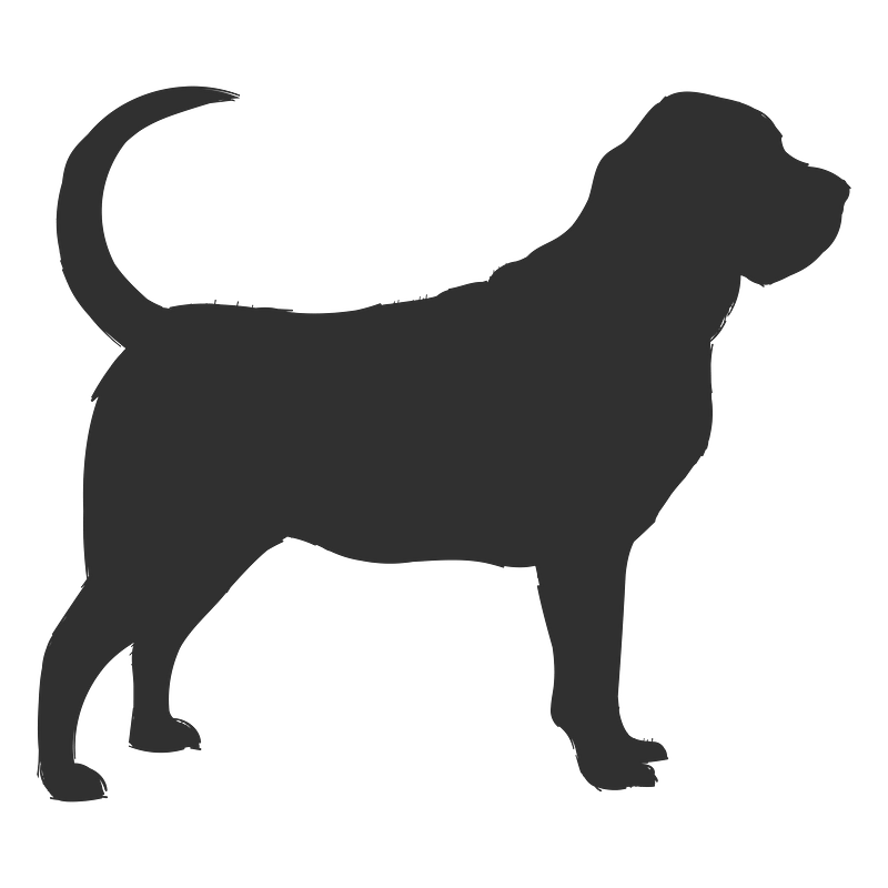 Bloodhound images free photos png stickers wallpapers backgrounds