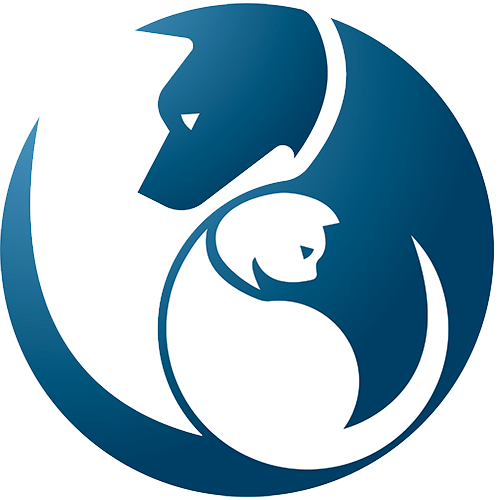 Veterinary appointment in concord nc cabarrus spay neuter